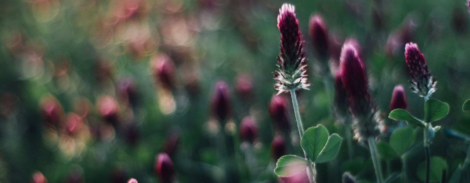 katie moum RECMwqkovS unsplash
