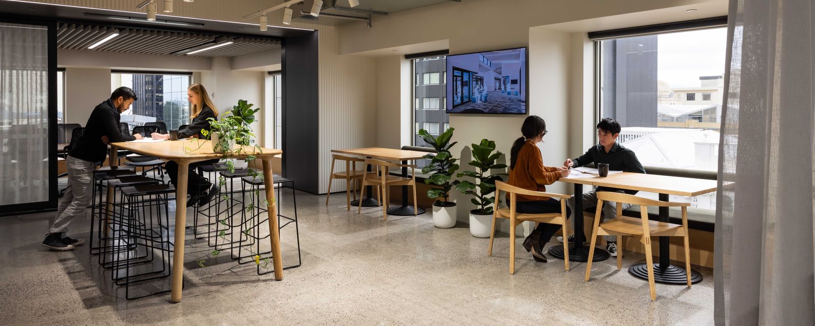 Designgroup Stapleton Elliot Auckland Studio Harrows